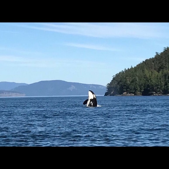 Meet your Posher, Dax - Picture 9 of 16